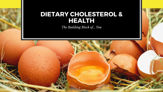 Dietary Cholesterol & Health
