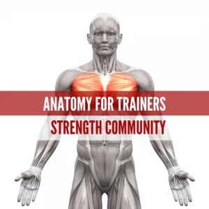 Anatomy for Trainers