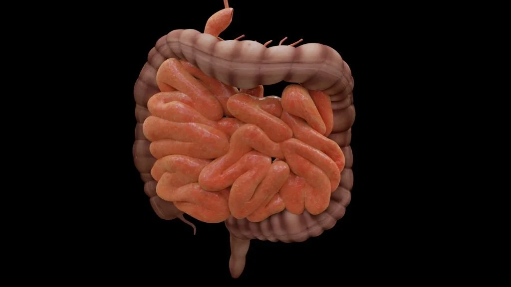 Gastrointestinal