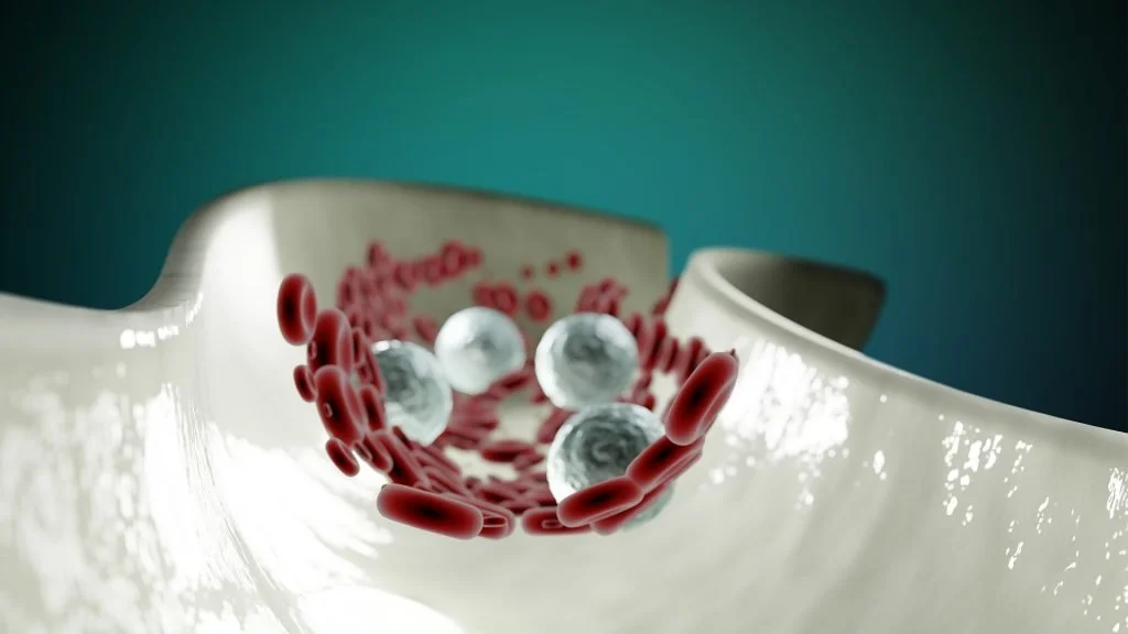 Cholesterol and heart health