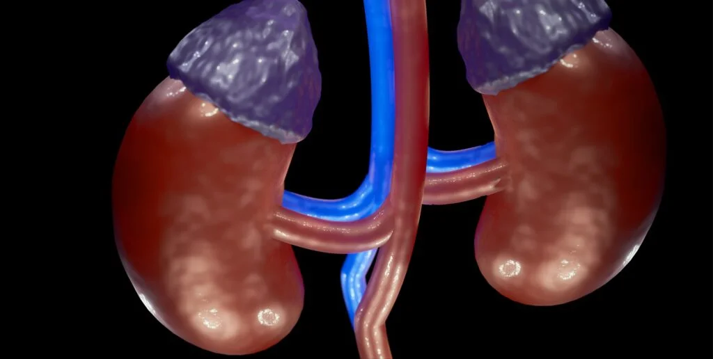Adrenals